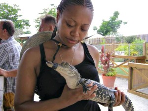 Nigia-Stephens-with-baby-alligator-edited